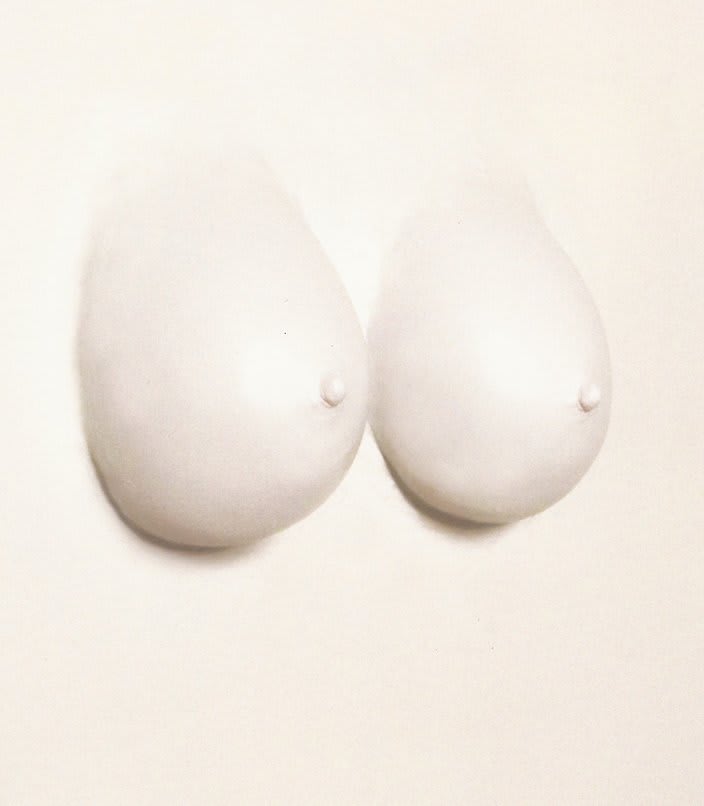 Wilfredo Prieto, Perfect Museum, 2011