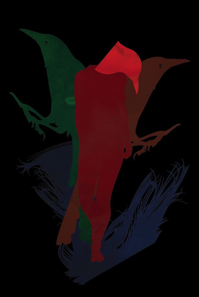 Carlos Amorales, Cromofobias Negras, 2010