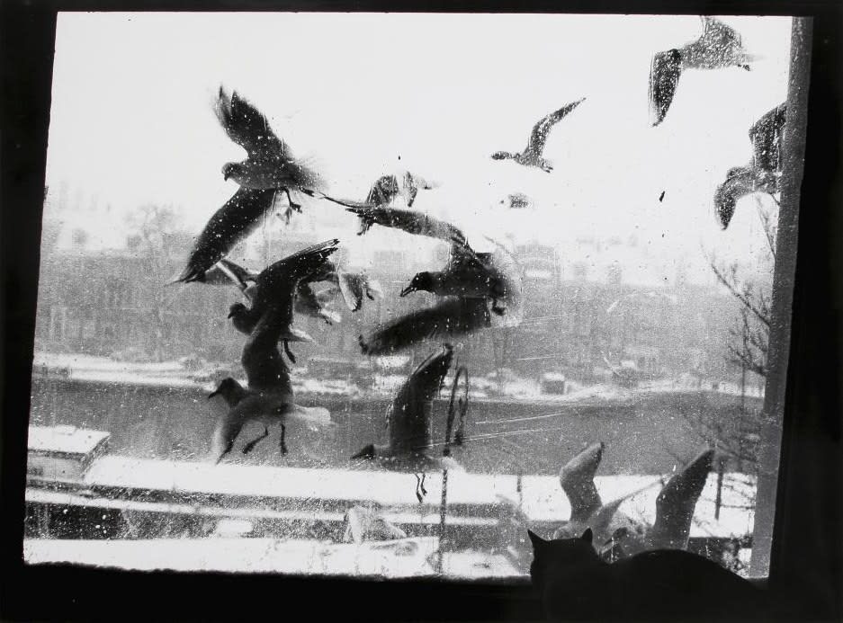 Ed van der Elsken, Prinsengracht, Amsterdam, 1958