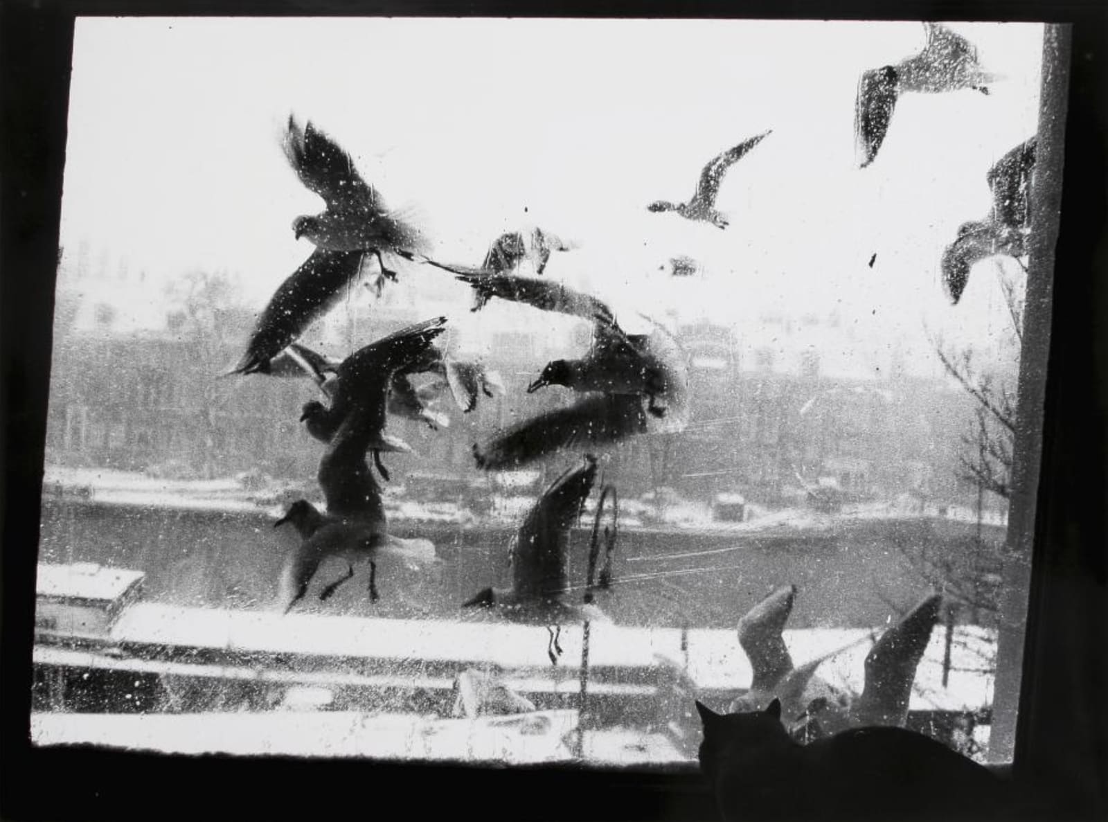 Ed van der Elsken, Prinsengracht, Amsterdam, 1958