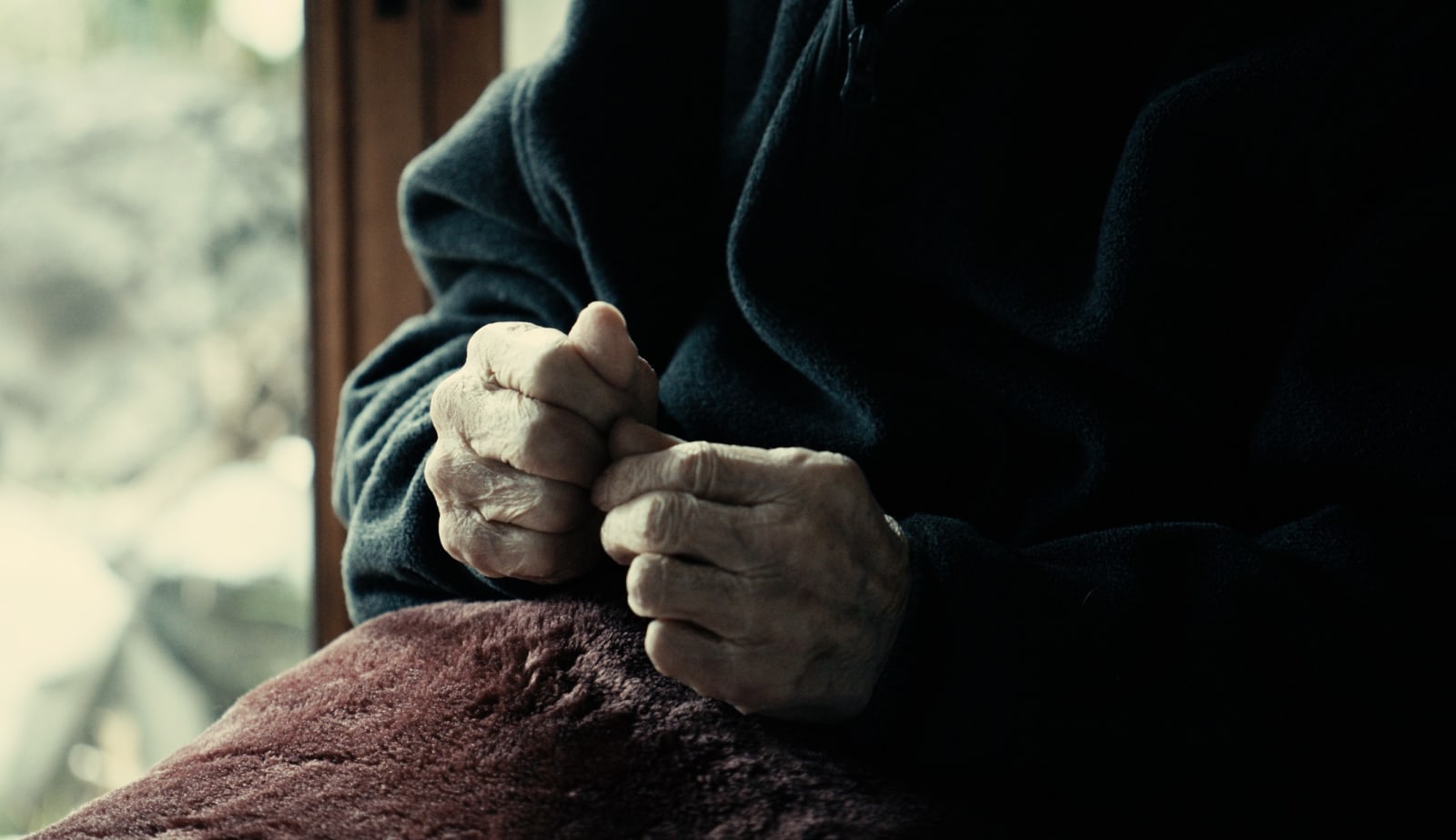 Meiro Koizumi, The Angels of Testimony, 2019