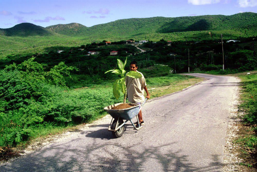 Wilfredo Prieto, Walk, 2007