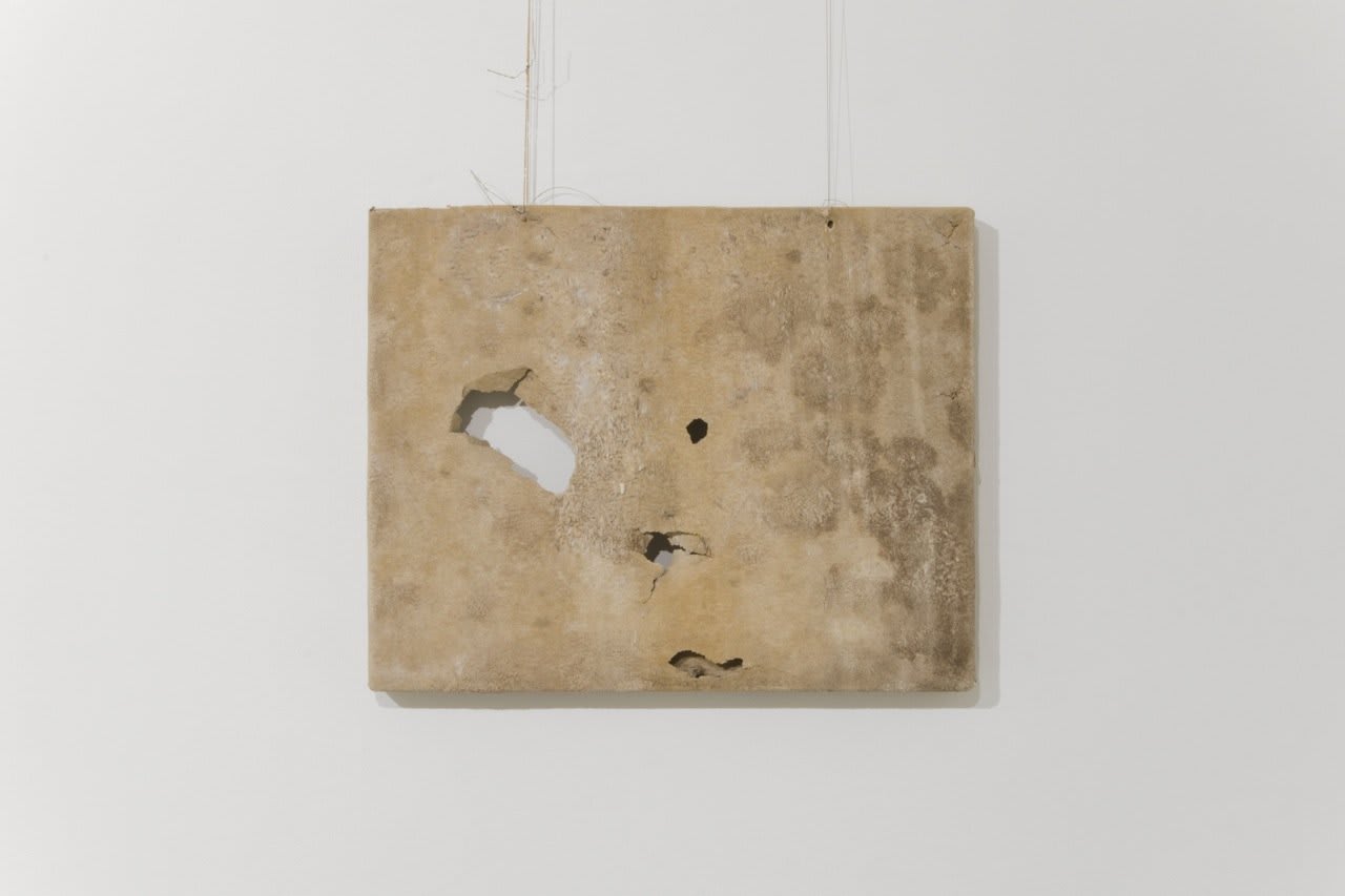 Harry Meadley, Shootin' for Love, Wanderers of the West, 2012