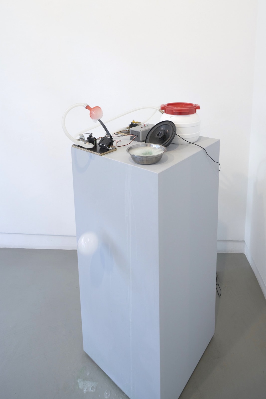 Maria Barnas, The Poet, 2016