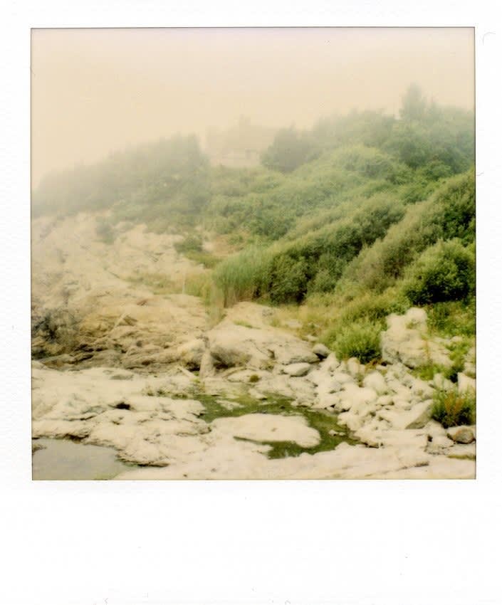 Erik Wesselo, Jamestown, 2006