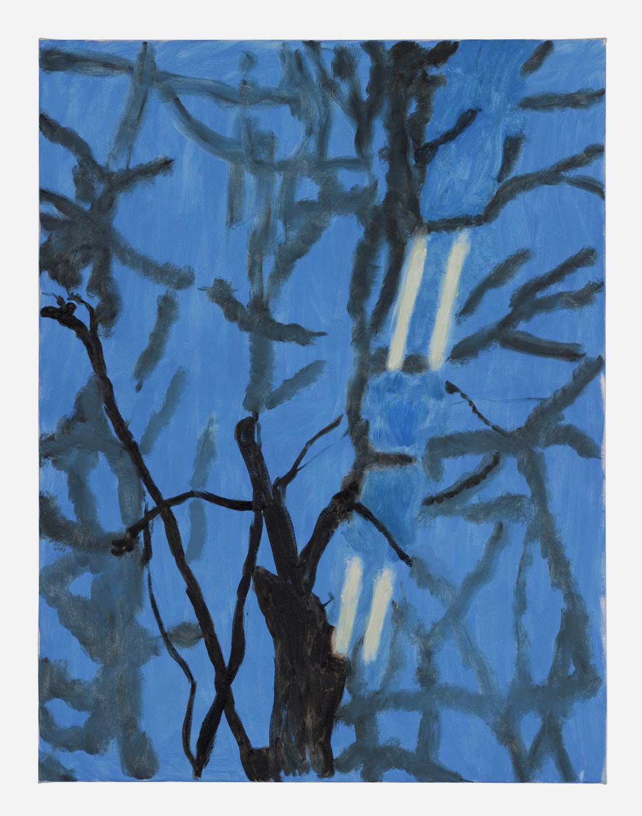 Leo Arnold, Pathways, 2022
