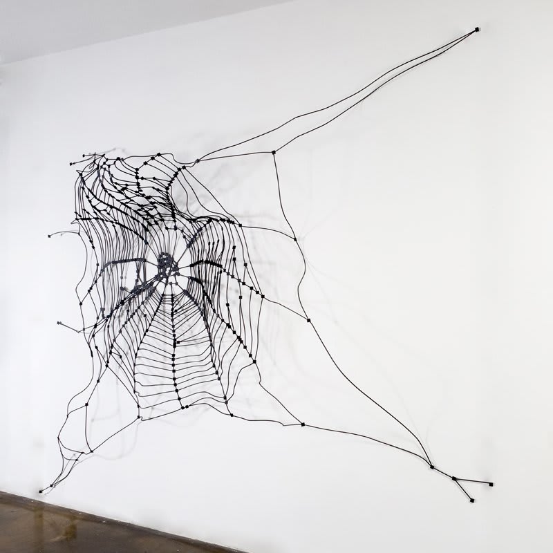 Carlos Amorales, Transformable Spider Web, 2008-2011