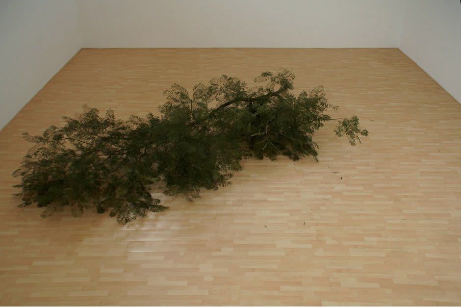 Wilfredo Prieto, Fake Pine Branch on Fake Pine Floor, 2012