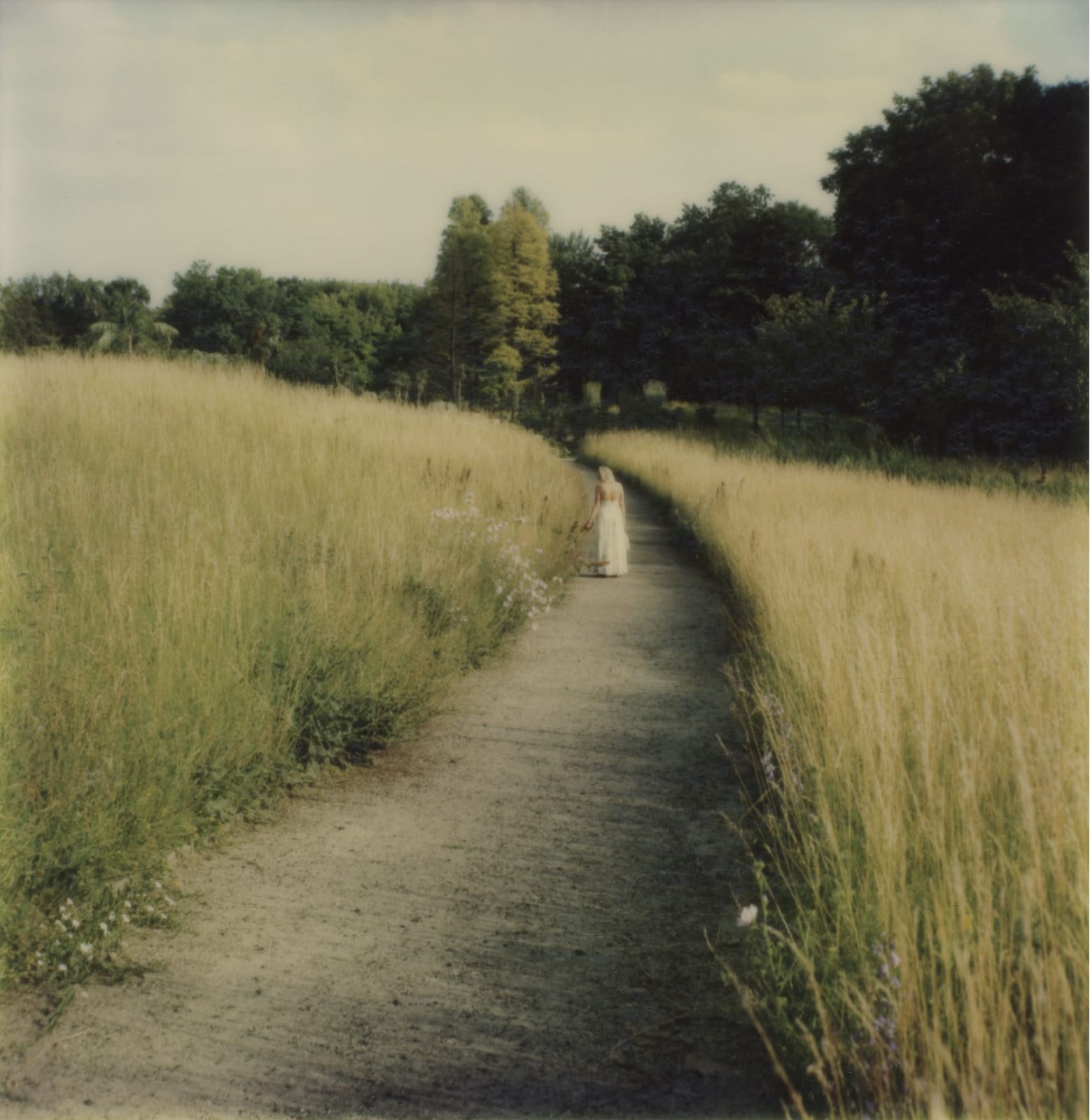 Robby Müller, Botanical Garden, Berlin, 1980s