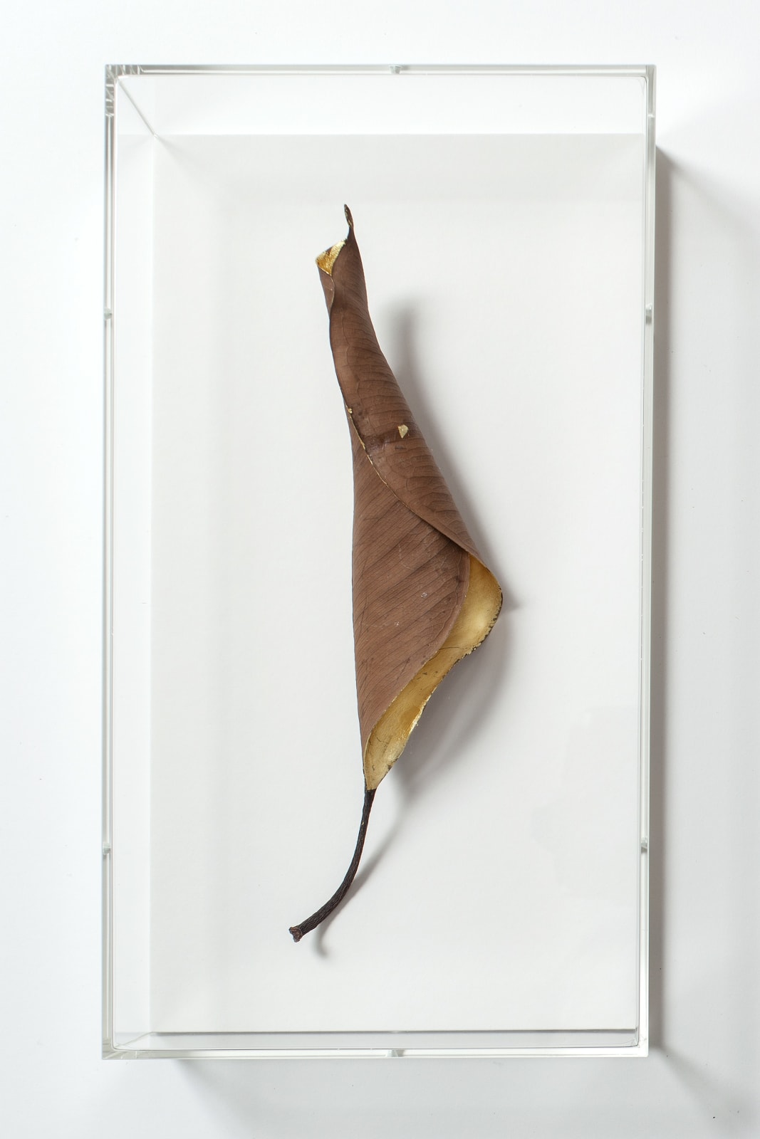 Sarah van Sonsbeeck, Gold leaf (sometimes to not do nothing I do something) #3, 2014