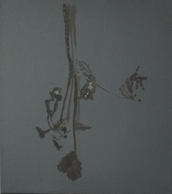 Kiki Lamers, Black Dahlia, 2011