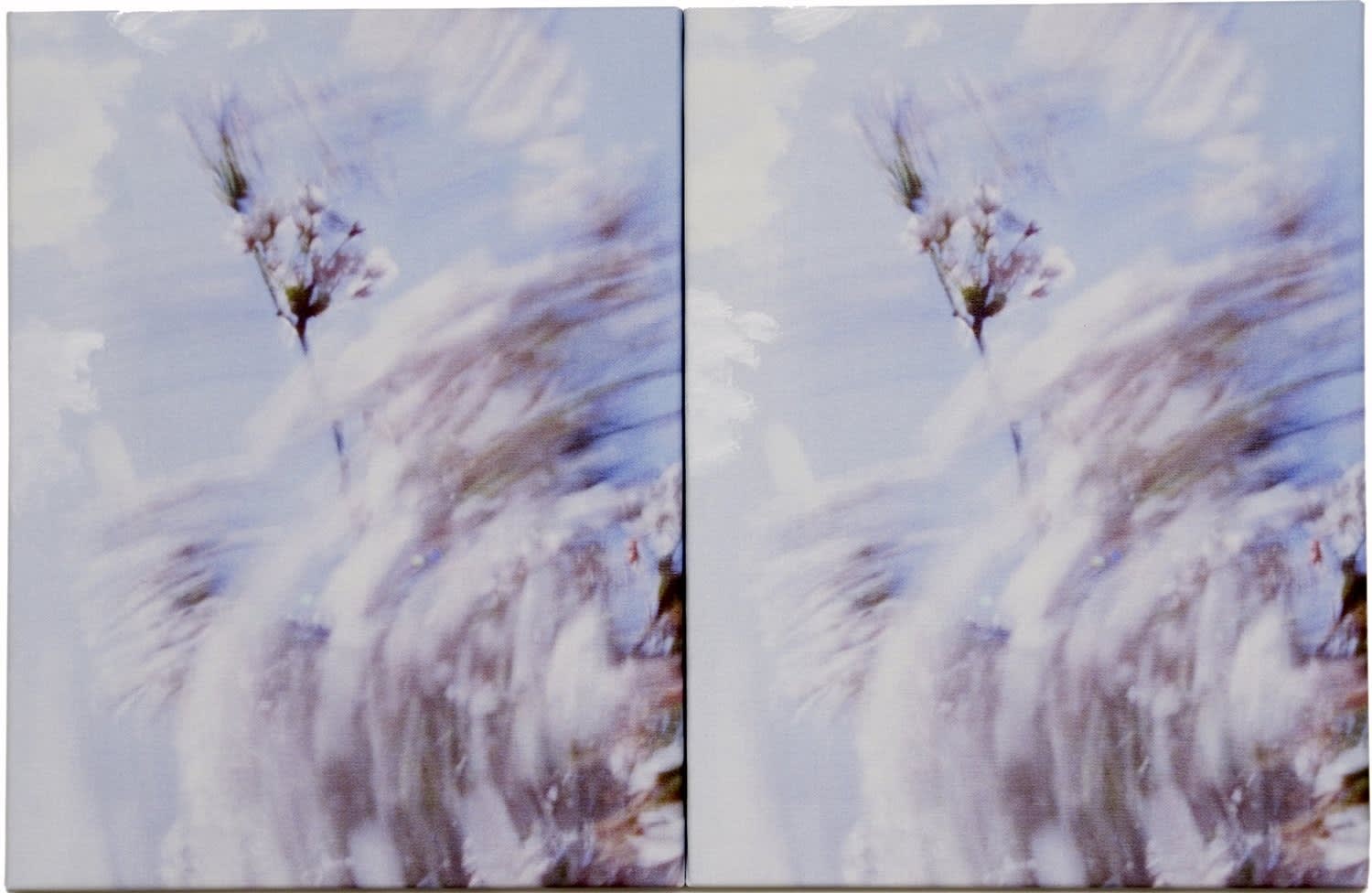 Marijke van Warmerdam, Blossom - in the air, 2010