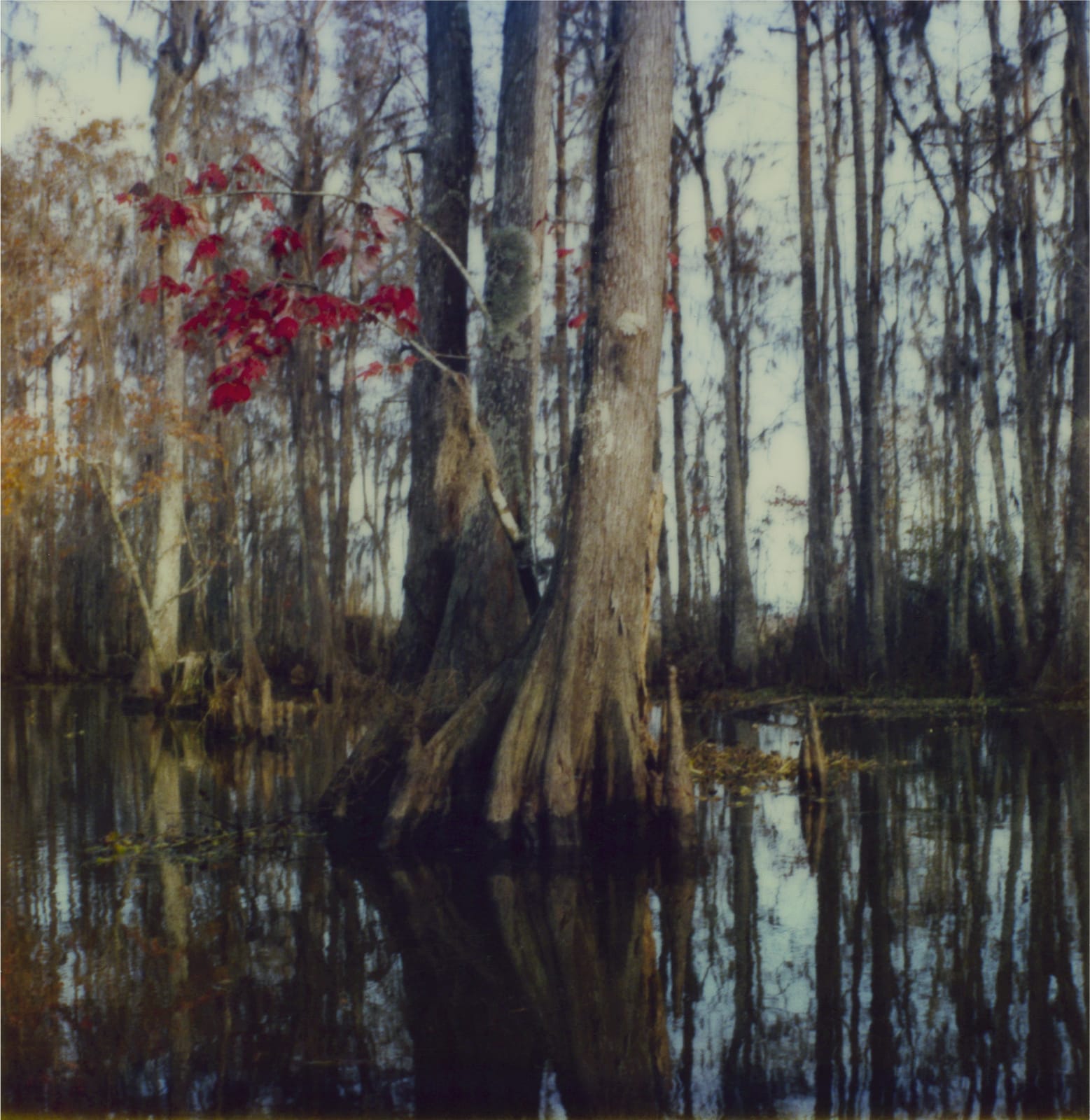 Robby Müller, While shooting ‘Down by law’, New Orleans, 1985