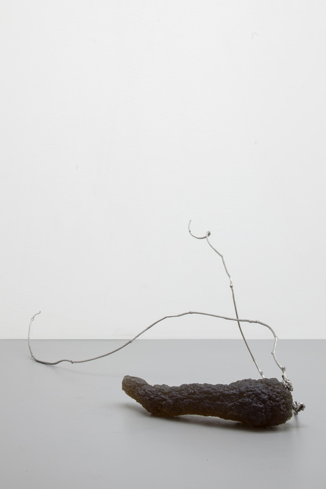Anya Gallaccio, The magpie comes at noon, 2008
