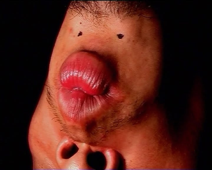 Meiro Koizumi, Fhe wav a very veautiful woman..., 2001
