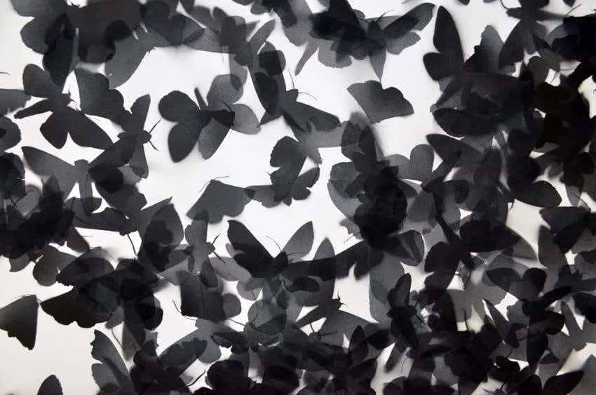 Carlos Amorales, Black Cloud Aftermath, 2011