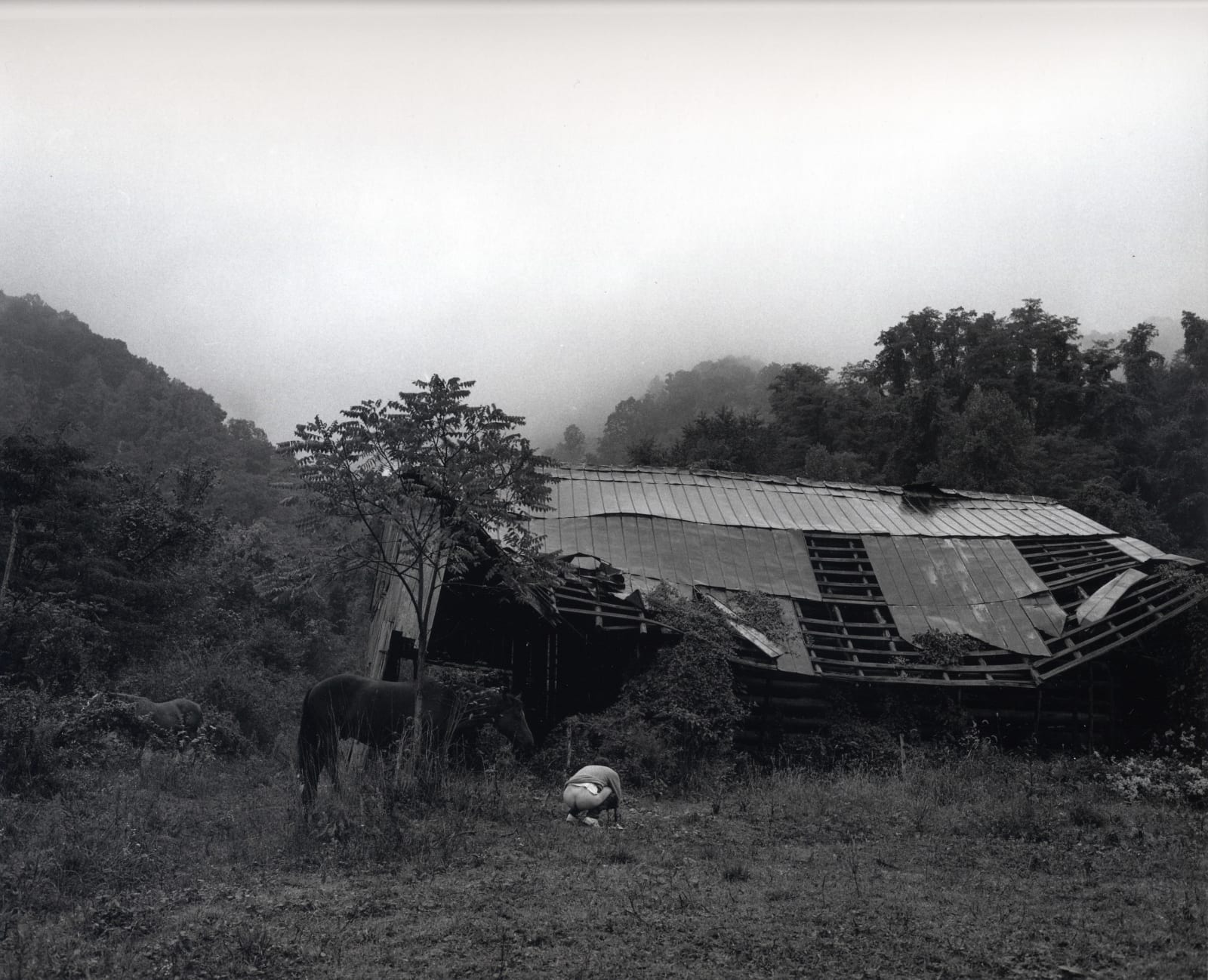 Bertien van Manen, Snowflake, Tennessee, 1987