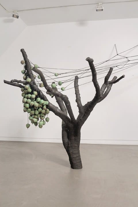 Anya Gallaccio, who can I turn to if you turn away, 2005