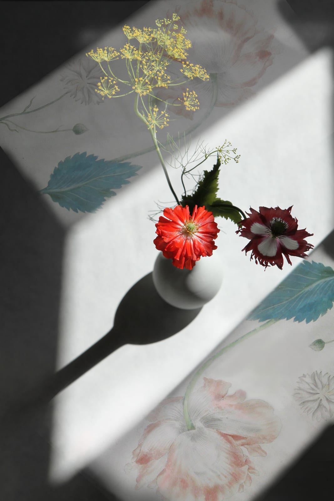 Ella Reitsma.Snoep, Dill and poppies in a vase. Drawing by Maria Sibylla Merian ca. 1680 Rosenborg Denmark, 2017
