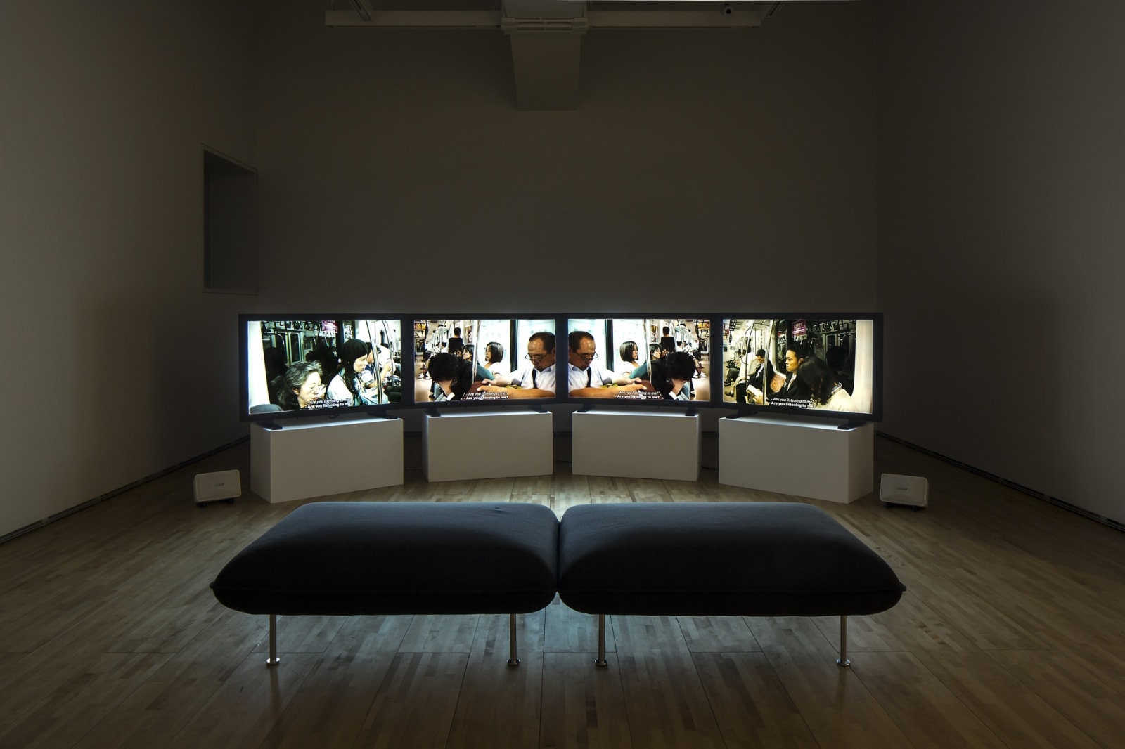 Meiro Koizumi, Theatre Dreams of a Beautiful Afternoon, 2010-2014