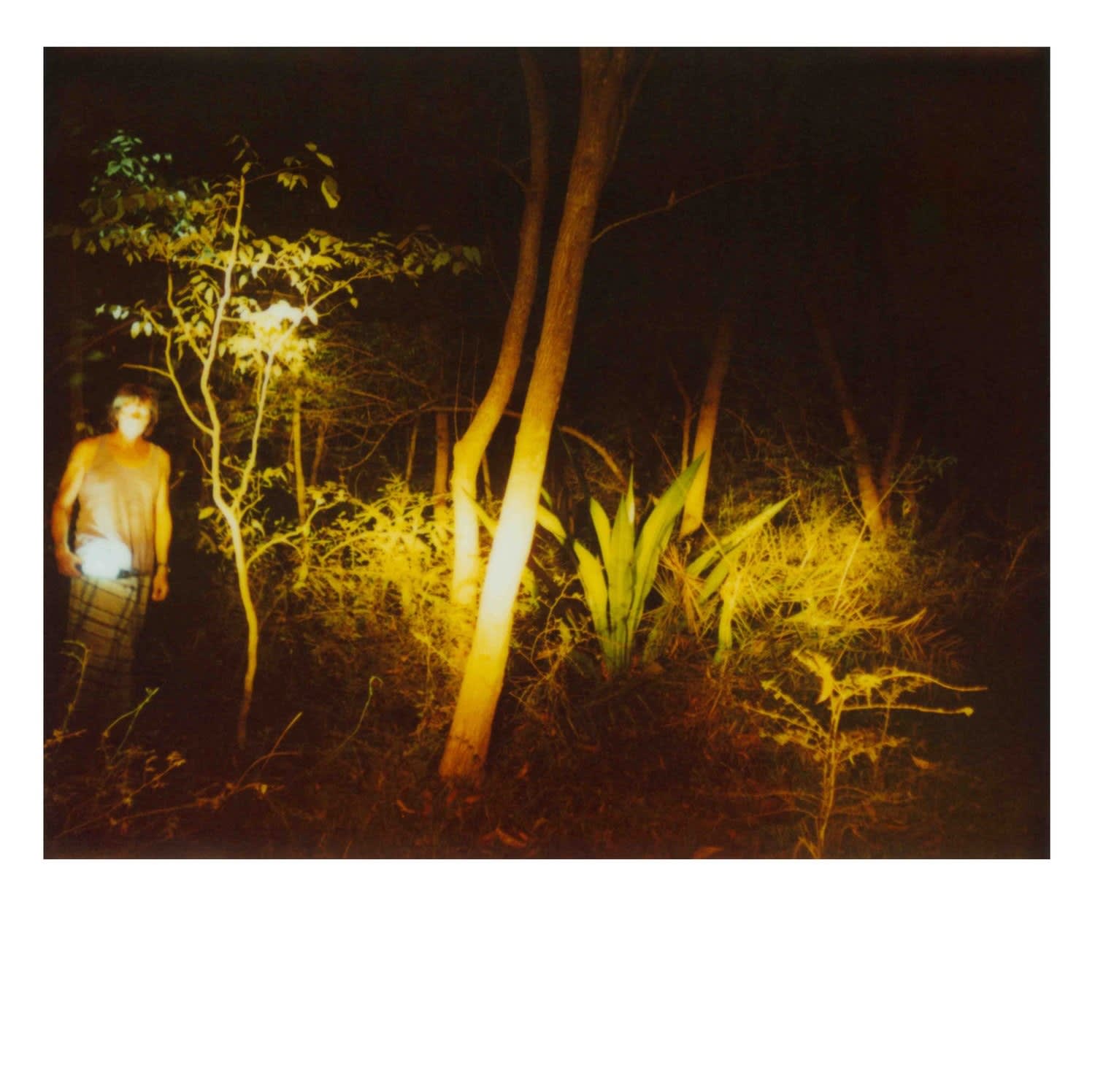 Erik Wesselo, Indian Garden, 2009-2010