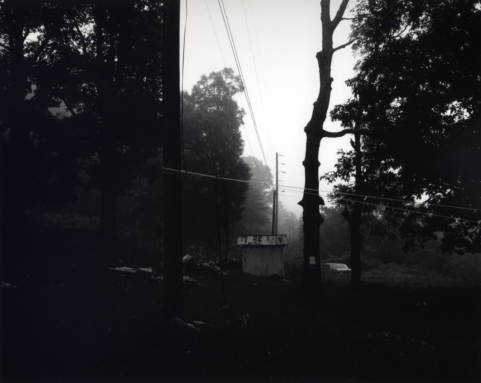 Bertien van Manen, The Hog, Cumberland, Kentucky, 1988