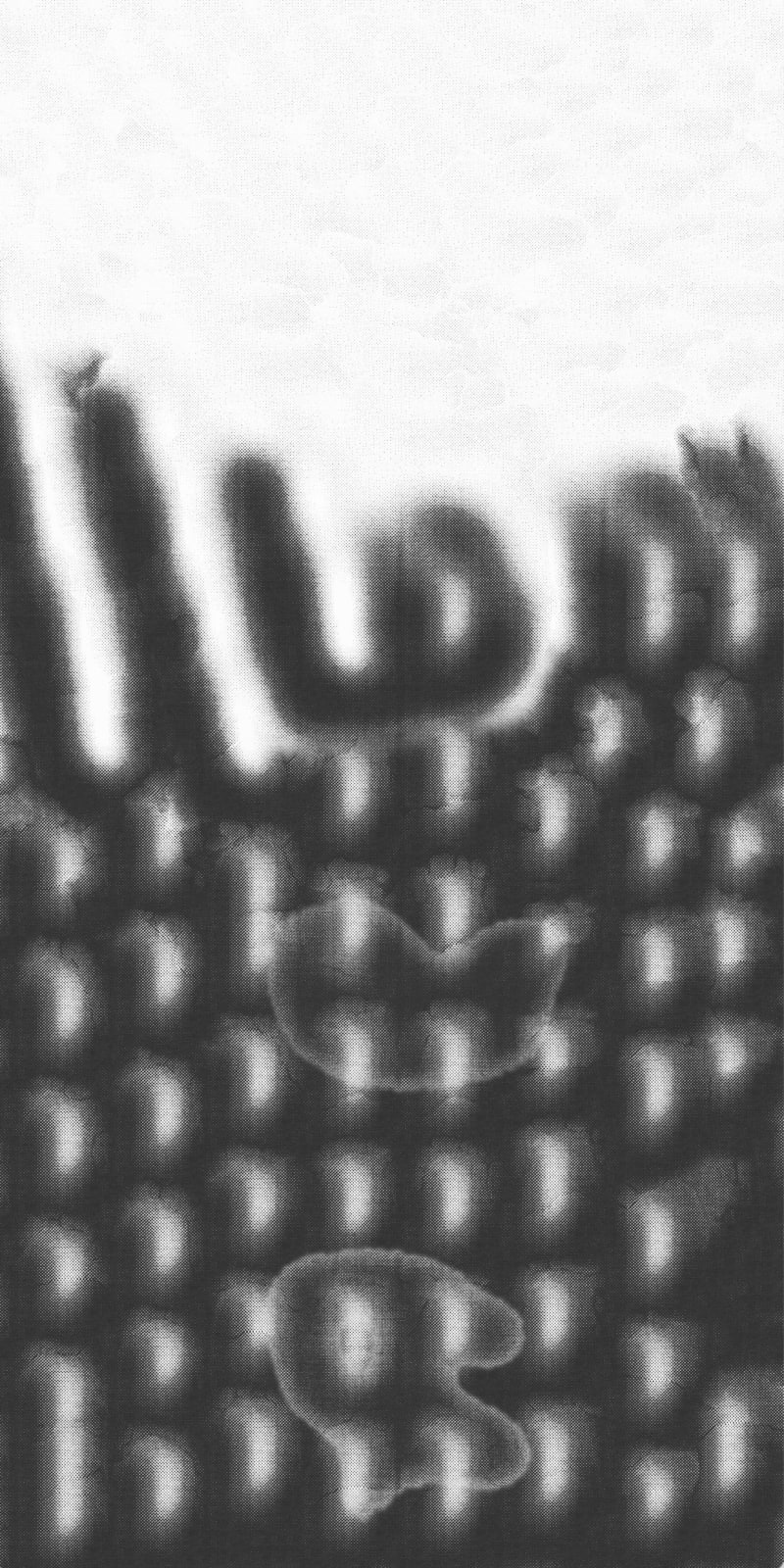 Steffani Jemison, Untitled, 2022