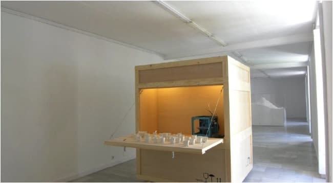 Alicia Framis, Screaming Room, 2011-2013