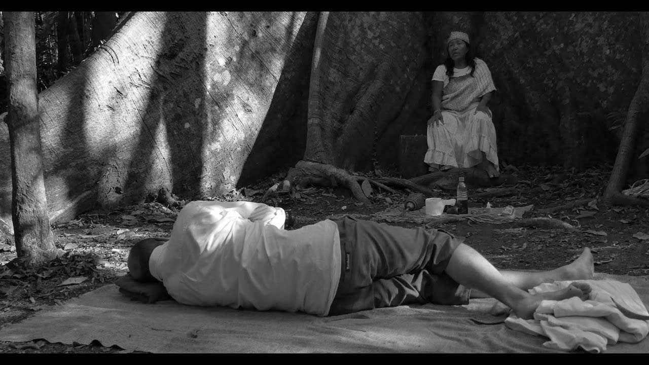 Yael Bartana, PARDES (Orchard), 2014