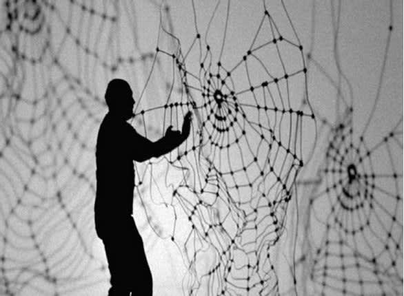 Carlos Amorales, Discarded Spider, 2008