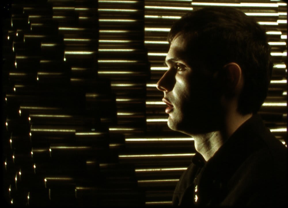 David Maljkovic, Images With Their Own Shadow, 2008
