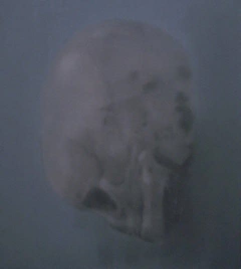 Kiki Lamers, The Innocent, 2010