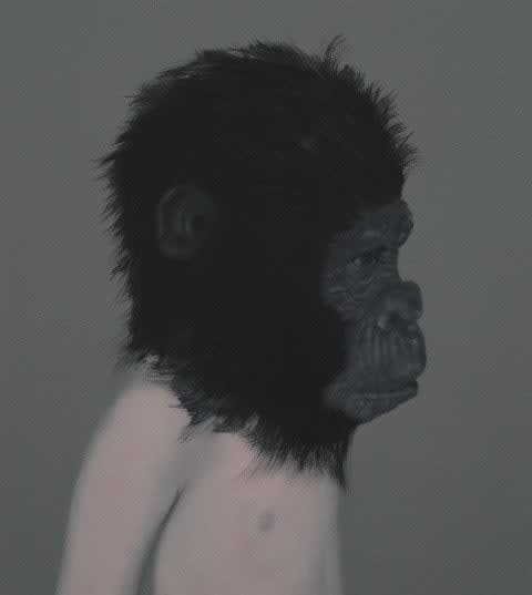 Kiki Lamers, Gorilla, 2007