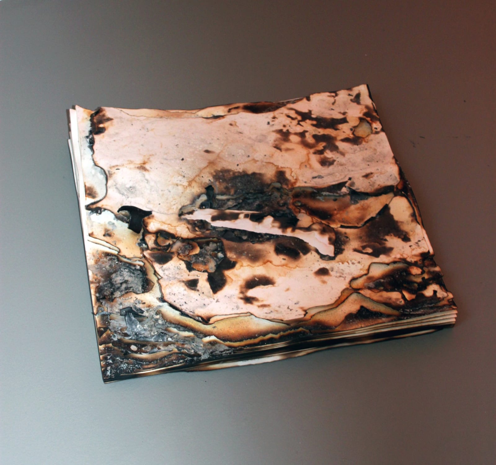 Anya Gallaccio, Untitled 'snow', 2013