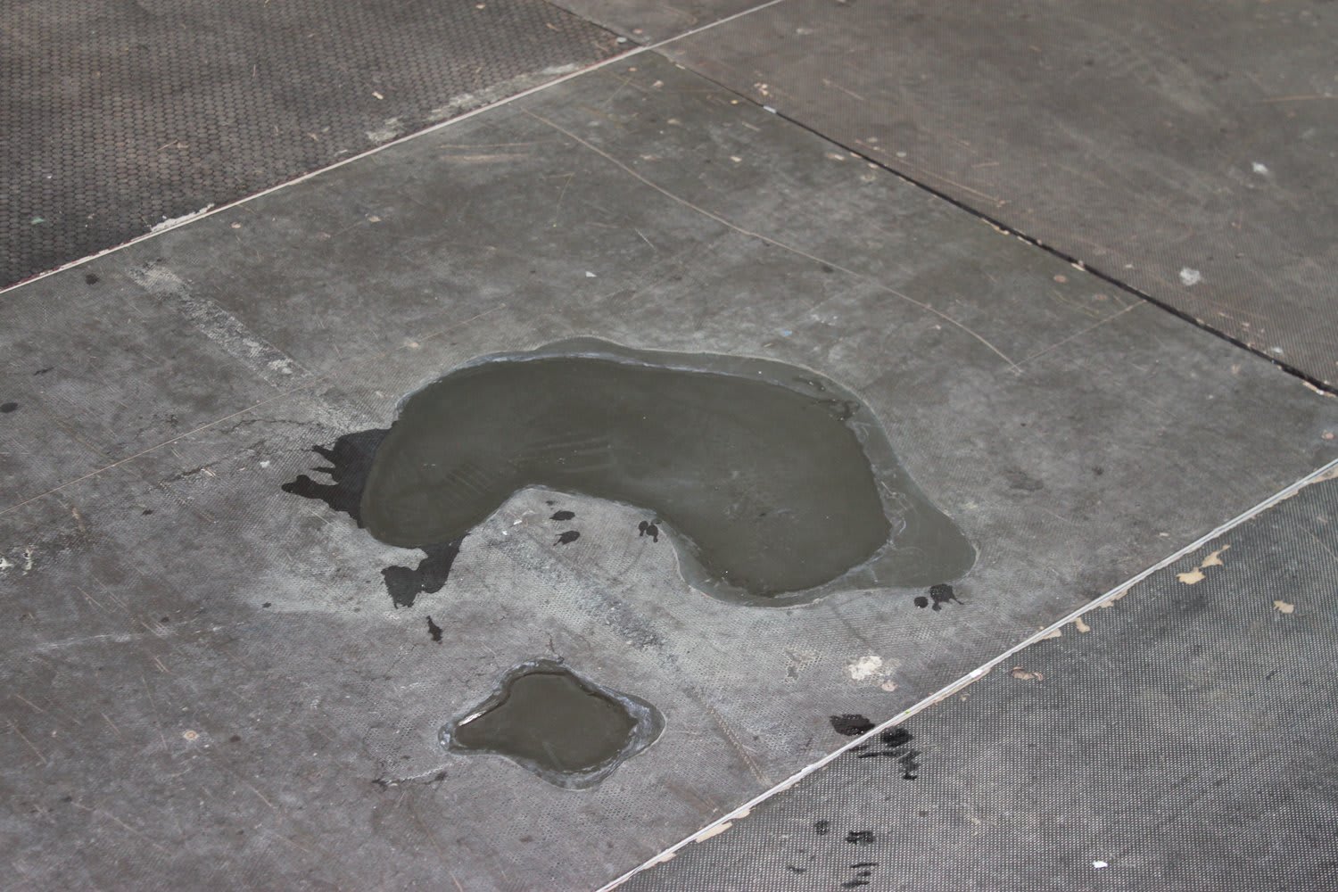 Ryan Gander, Never Shone, 2010