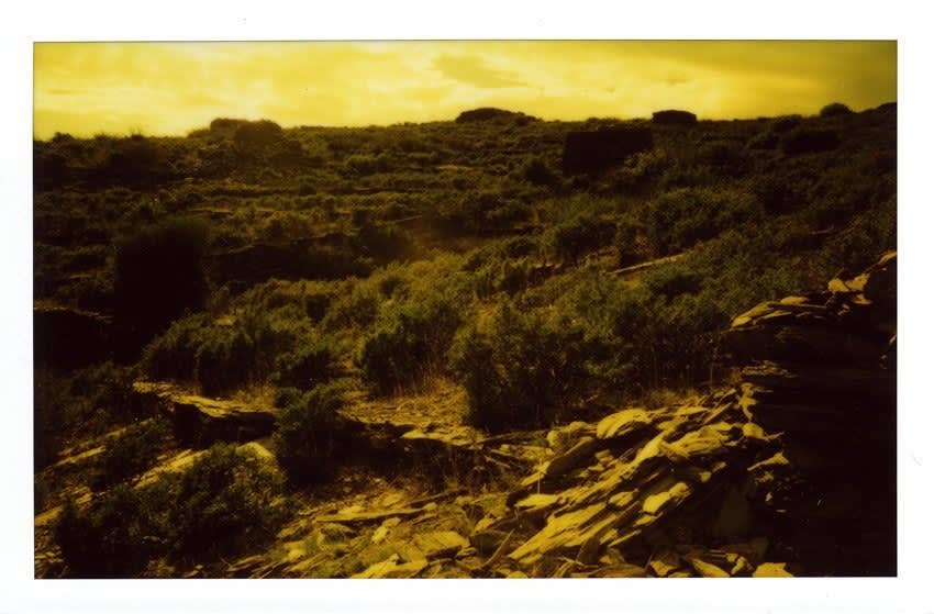 Erik Wesselo, Los Gigantes, 2006