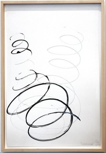 Marijke van Warmerdam, Split spiral, 2009