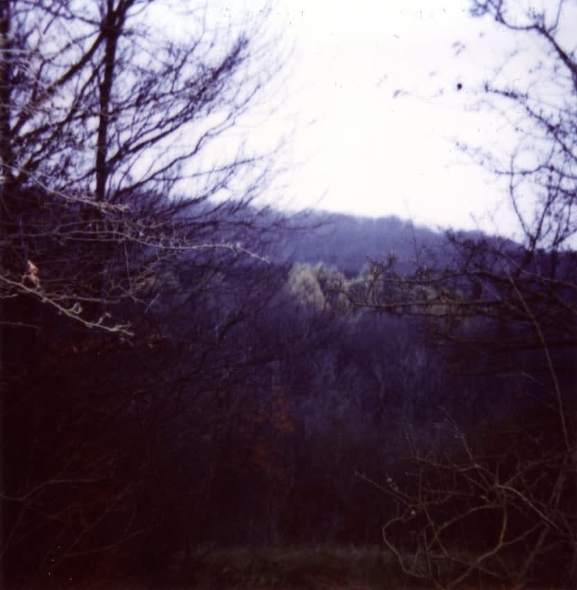 Erik Wesselo, Untitled (Forest Time) (cover book), 1997-2001