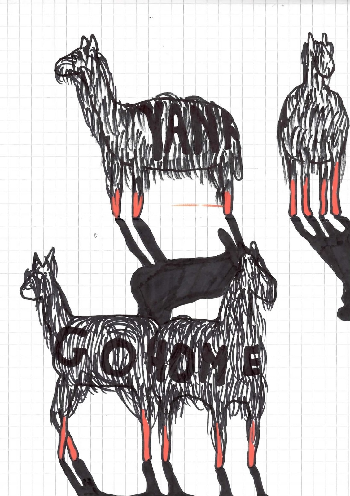 Dick Verdult, Dibujos Pasajeros (Llama Yankee), 2010