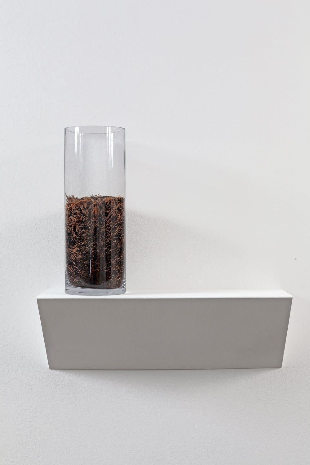 Ryan Gander, Investigation # 8 - An expansive work on strength and the loss of strength, 2011