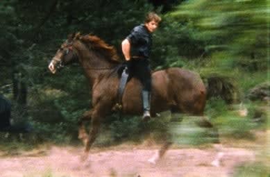 Erik Wesselo, Backward, 1996