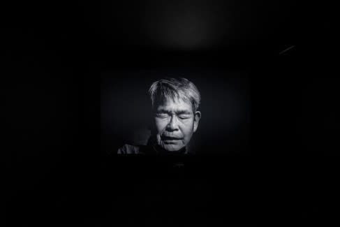 Meiro Koizumi, Trapped Words, 2014