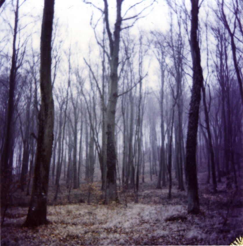 Erik Wesselo, Forest Time (Forest), 1997-2001