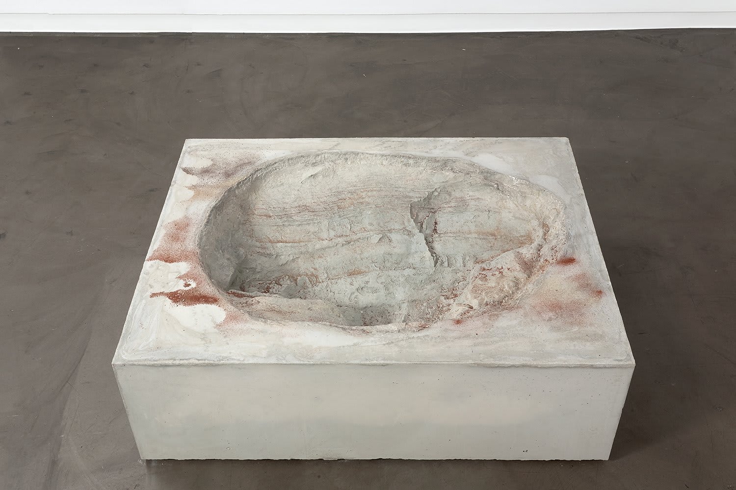 Anya Gallaccio, remind me to remind me, 2011
