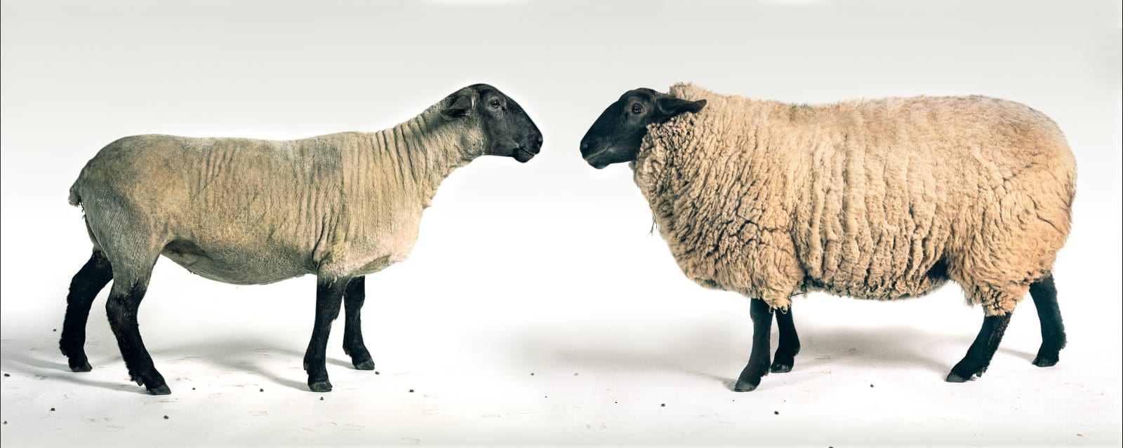 Photography, Elaine, 2002