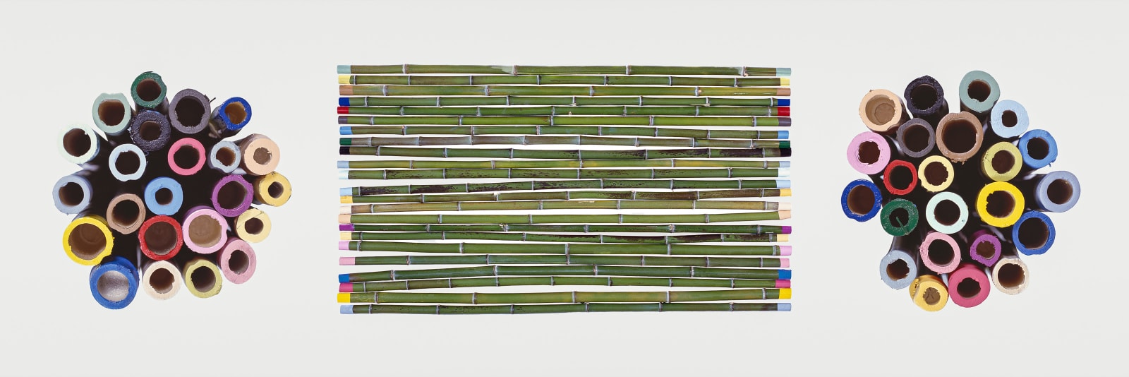 Photography, Bamboo (Family Tree series), 2008