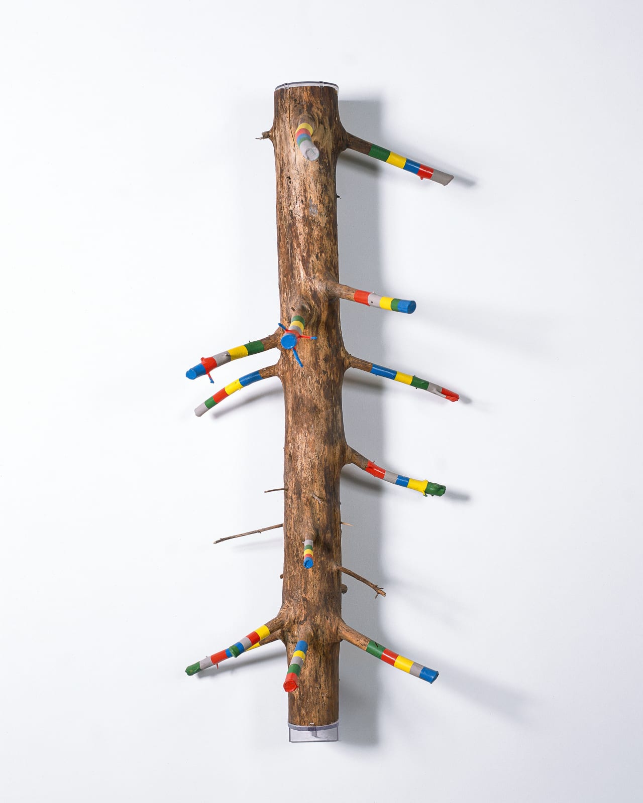 Sculptures, Branches Dipped to Colour, 2002