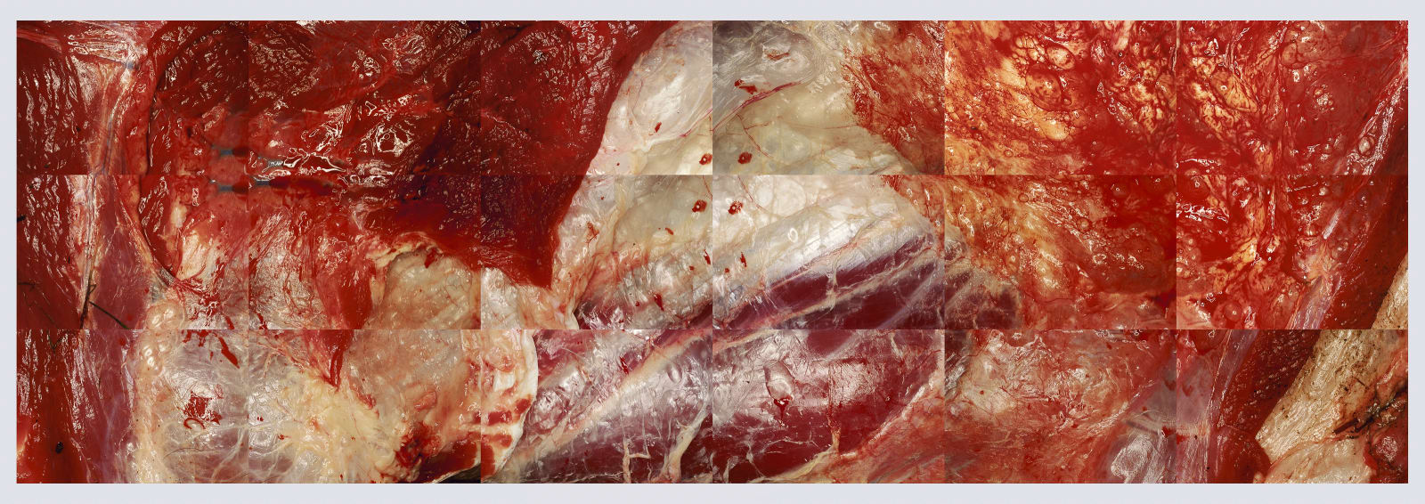 Photography, Au Bloc, 1996