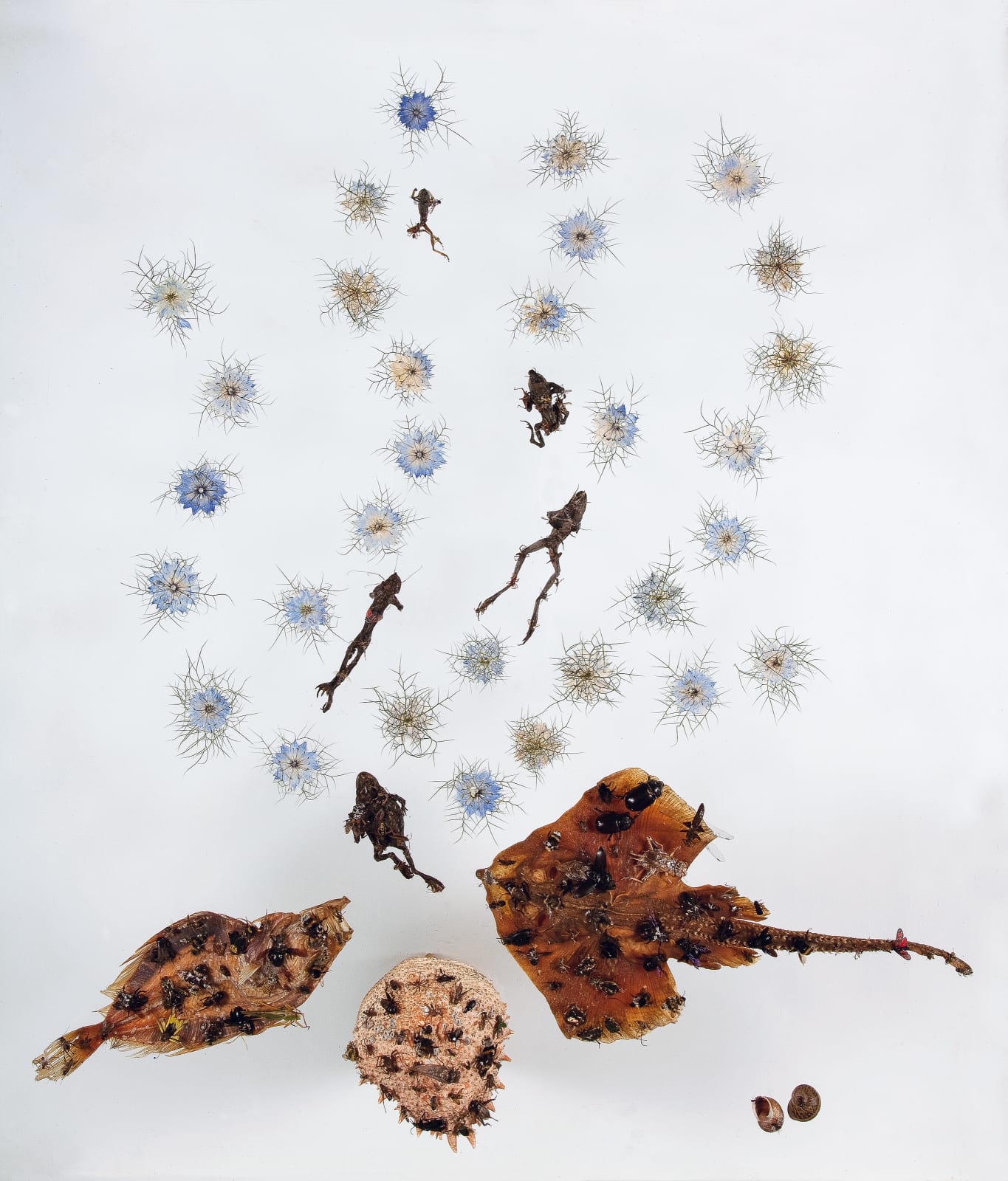 Installations Series 1, Cornflower Sea, 2010