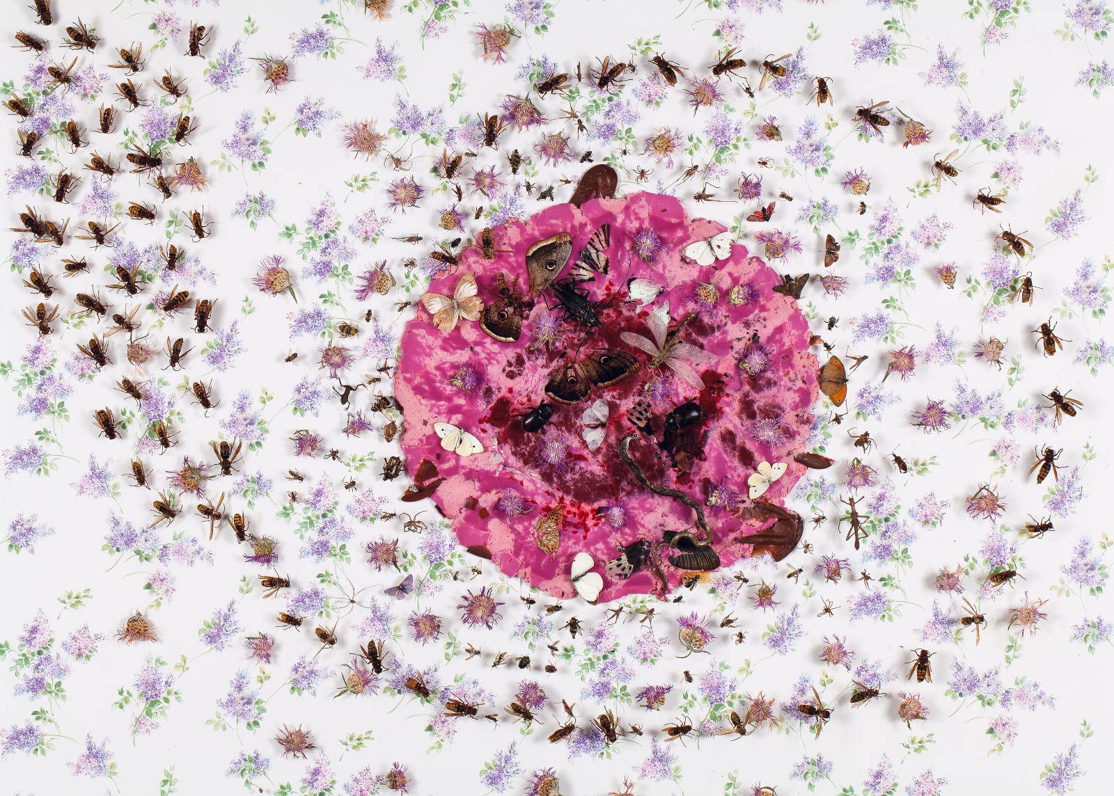 Installations Series 1, Untitled, 2011